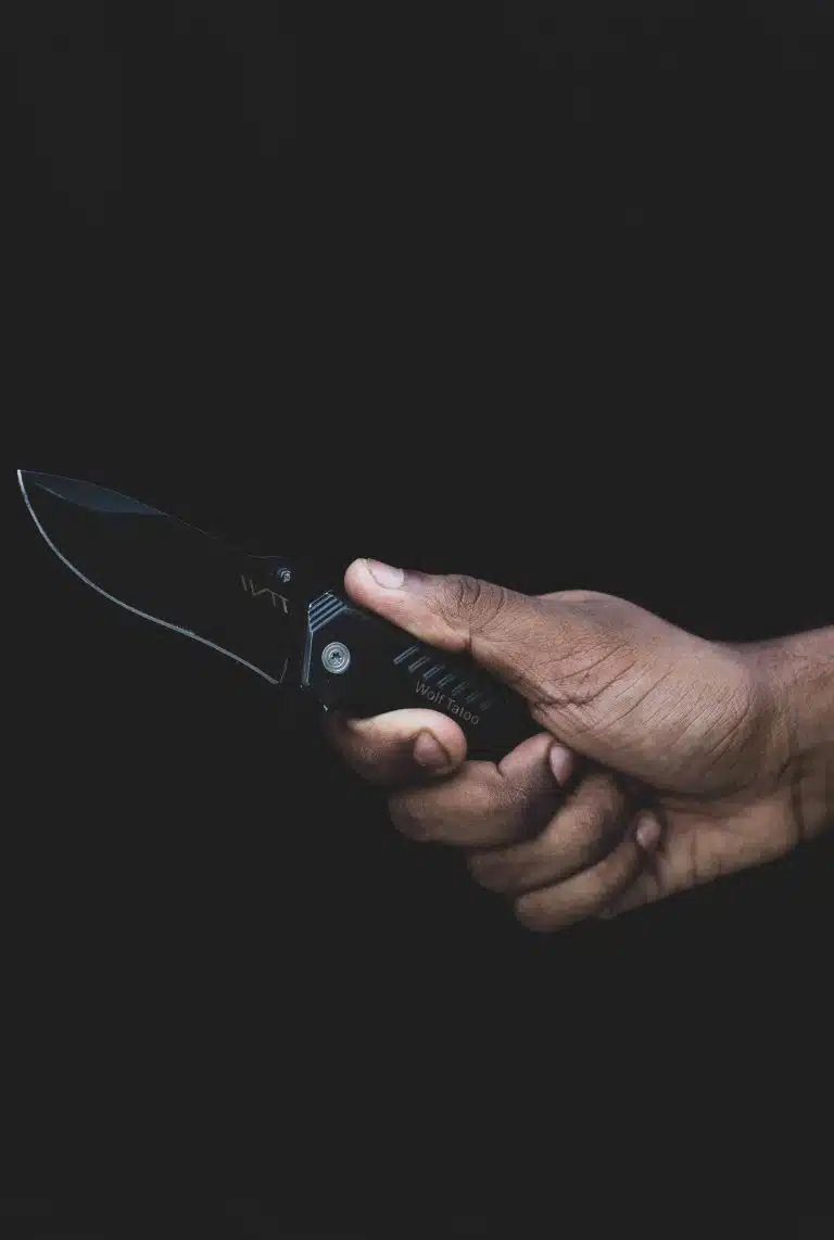 Carbon Steel vs Stainless Steel