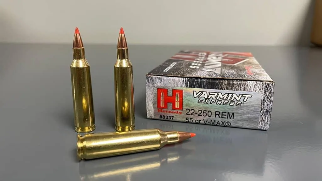 .22-250 Rem Ammo