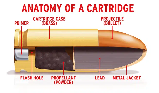 Anatomy of a Bullet Cartridge
