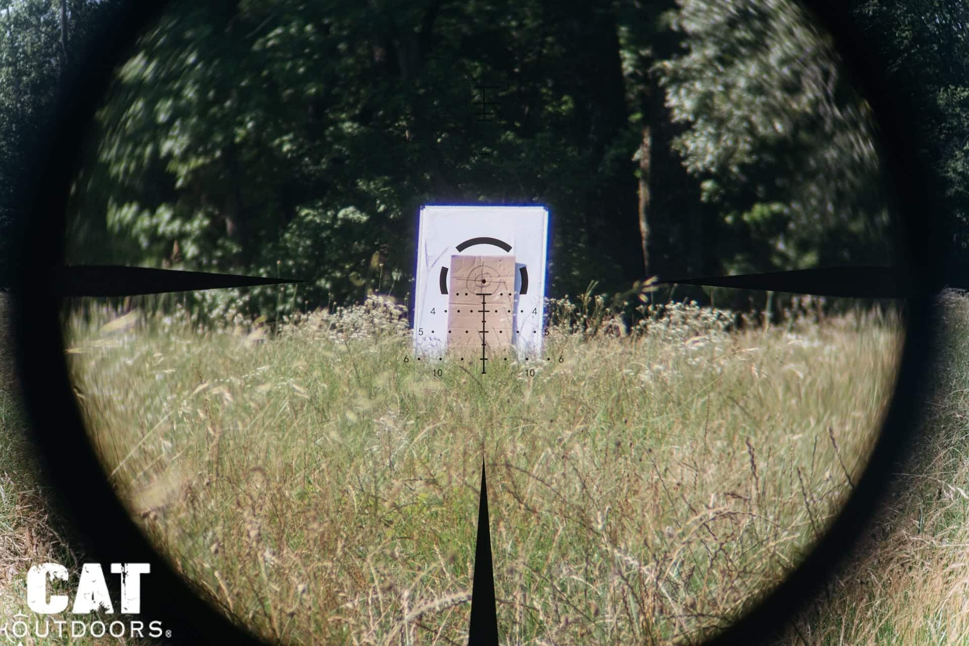 View through the Vortex Strike Eagle 1-8x24 at 4x magnification