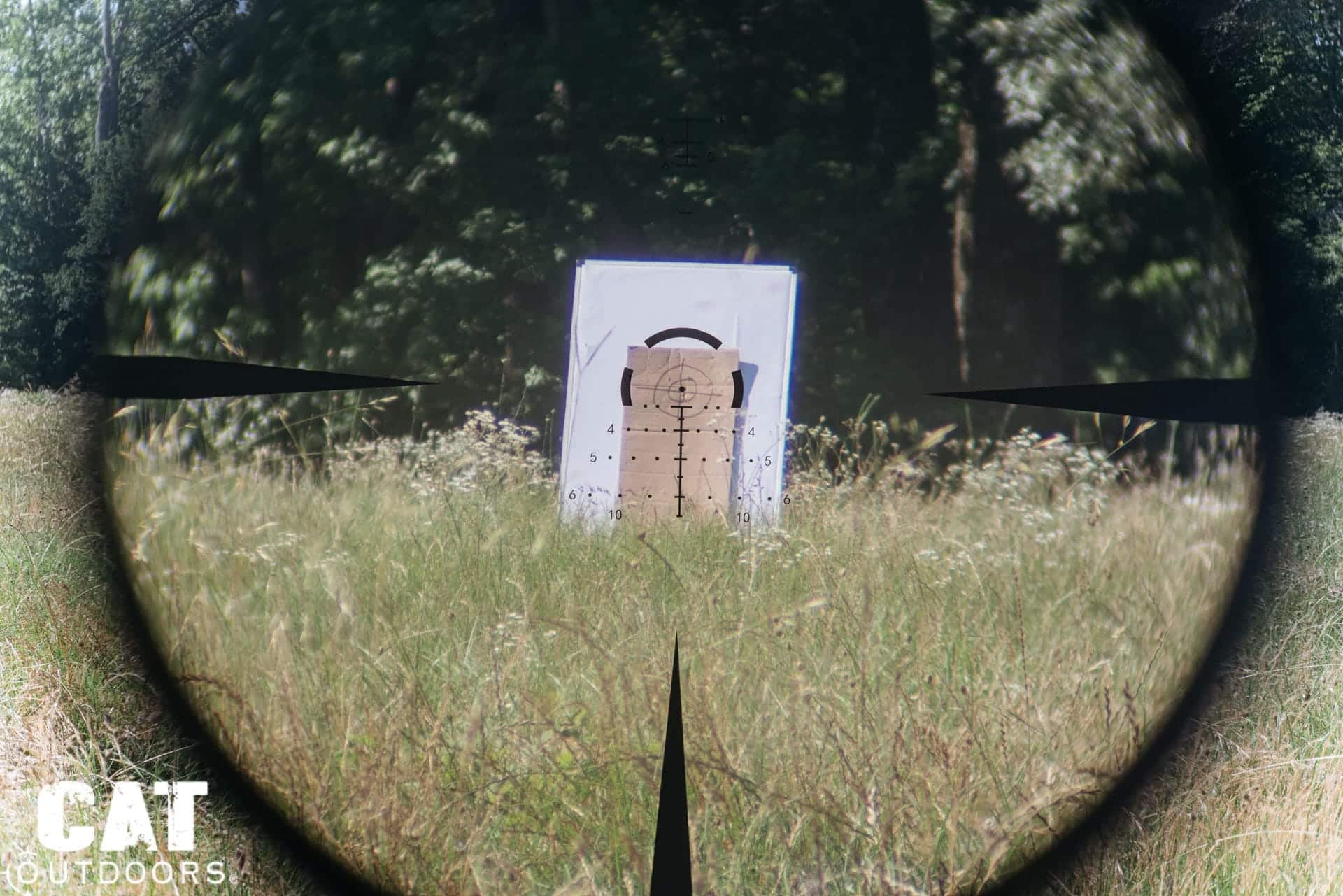 View through the Vortex Strike Eagle 1-8x24 at 5x magnification