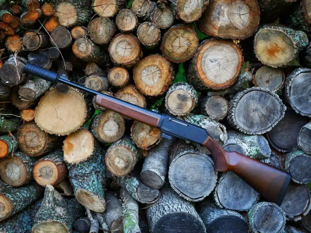 Henry Homesteader 9mm Carbine