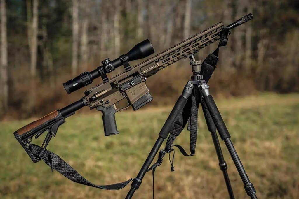 Stag 10
