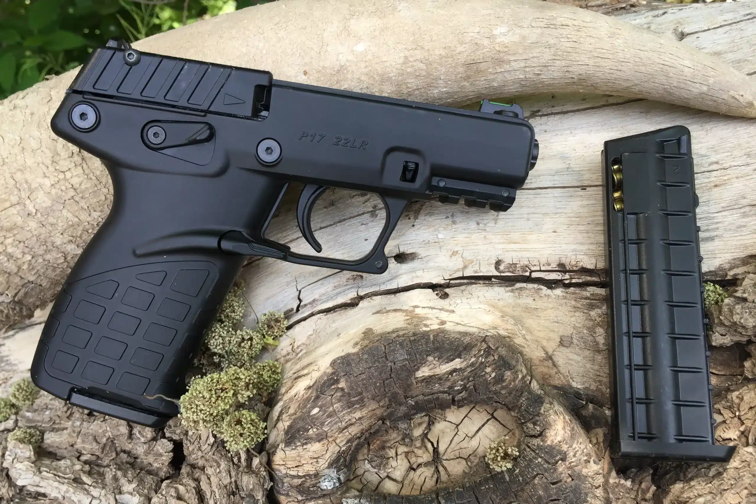 Keltec P17 Pistol