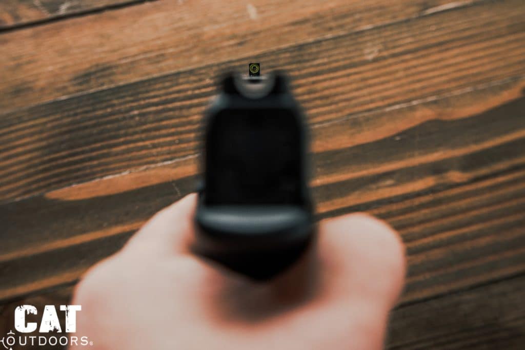 U-Dot sight picture from the shooter's perspective, showing the front sight tritium with luminescent ring centered in the rear U-notch silhouette