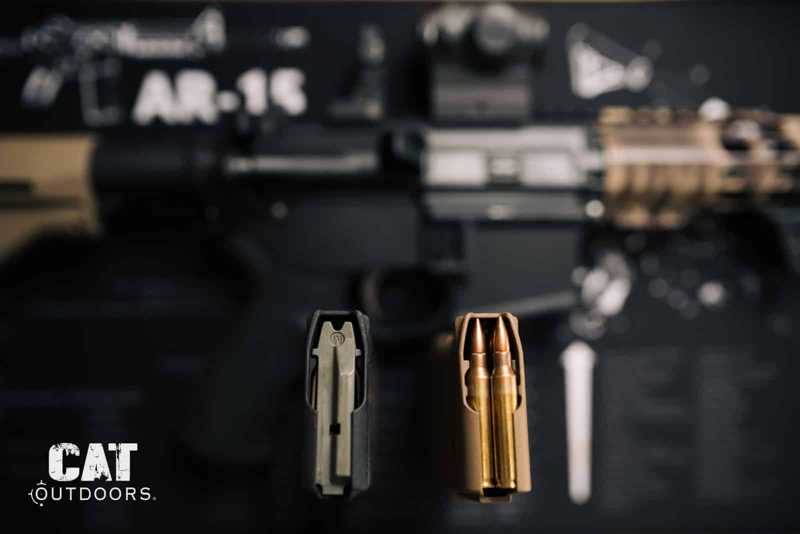 Standard 30-round AR-15 magazines, banned under the Protect Illinois Communities Act.