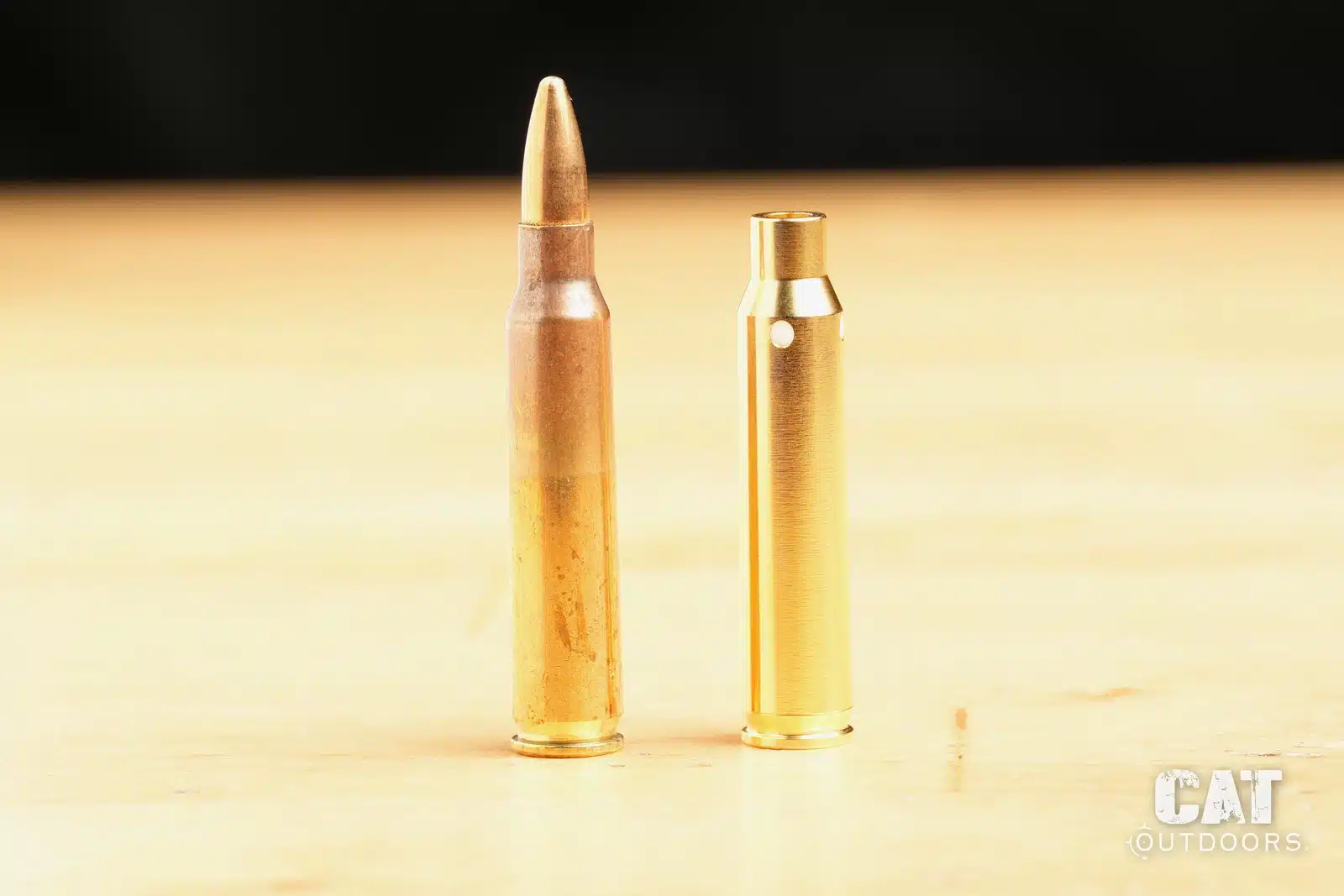 Sight-Rite laser bore sighter standing next to a loaded .223 round