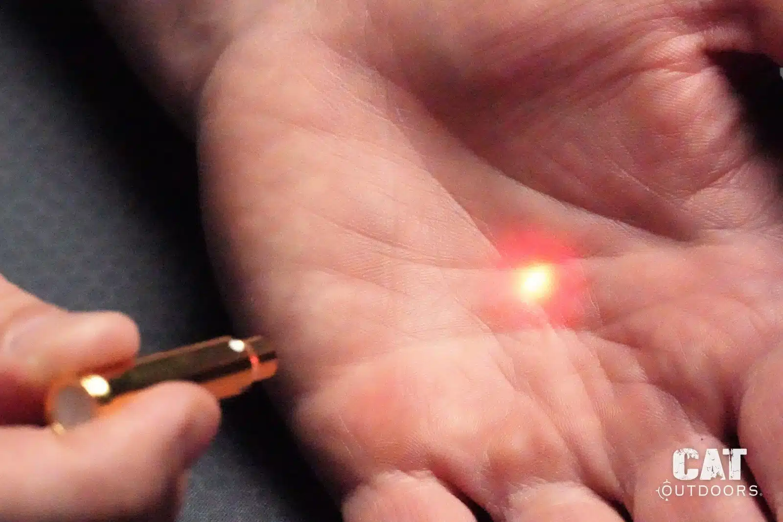 The red dot from the Sight-Rite laser bore sighter on an open palm